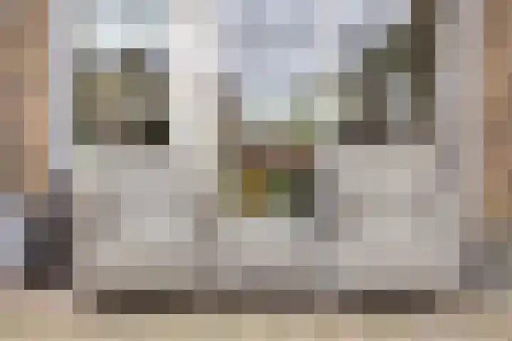 Geerdinksweg 62 Hengelo thumbnail 29