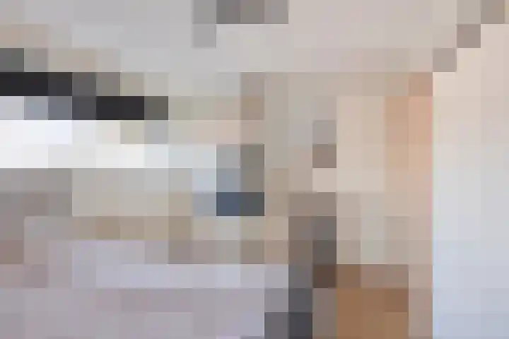 Geerdinksweg 81 Hengelo thumbnail 15