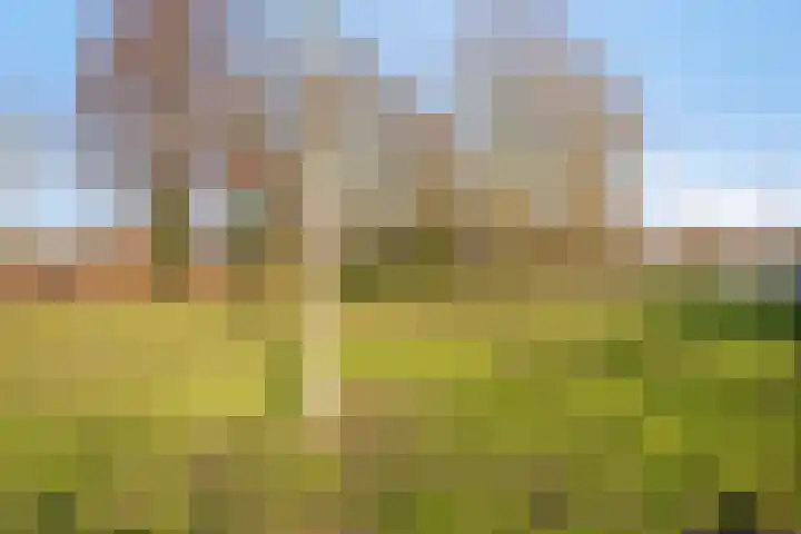 Geerdinksweg 81 Hengelo thumbnail 27