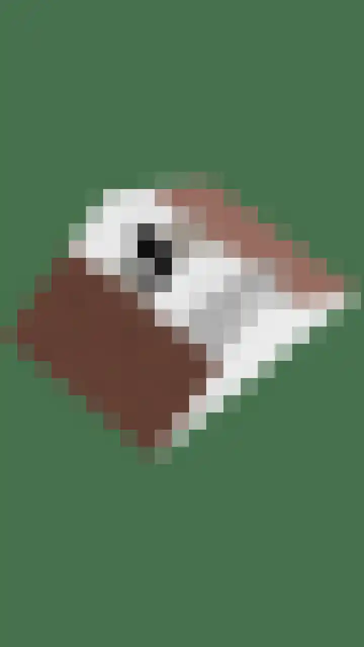Geerdinksweg 81 Hengelo thumbnail 34