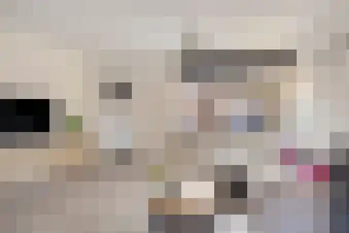 Geerdinksweg 81 Hengelo thumbnail 4