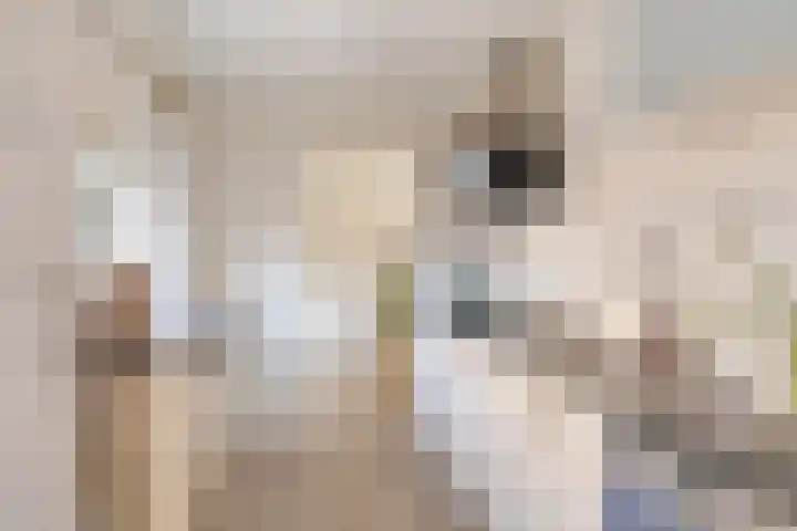 Geerdinksweg 81 Hengelo thumbnail 9