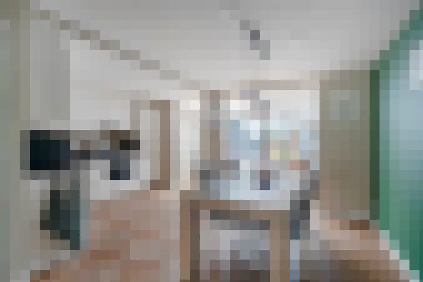 Geerestein 4 Anna Paulowna thumbnail 13