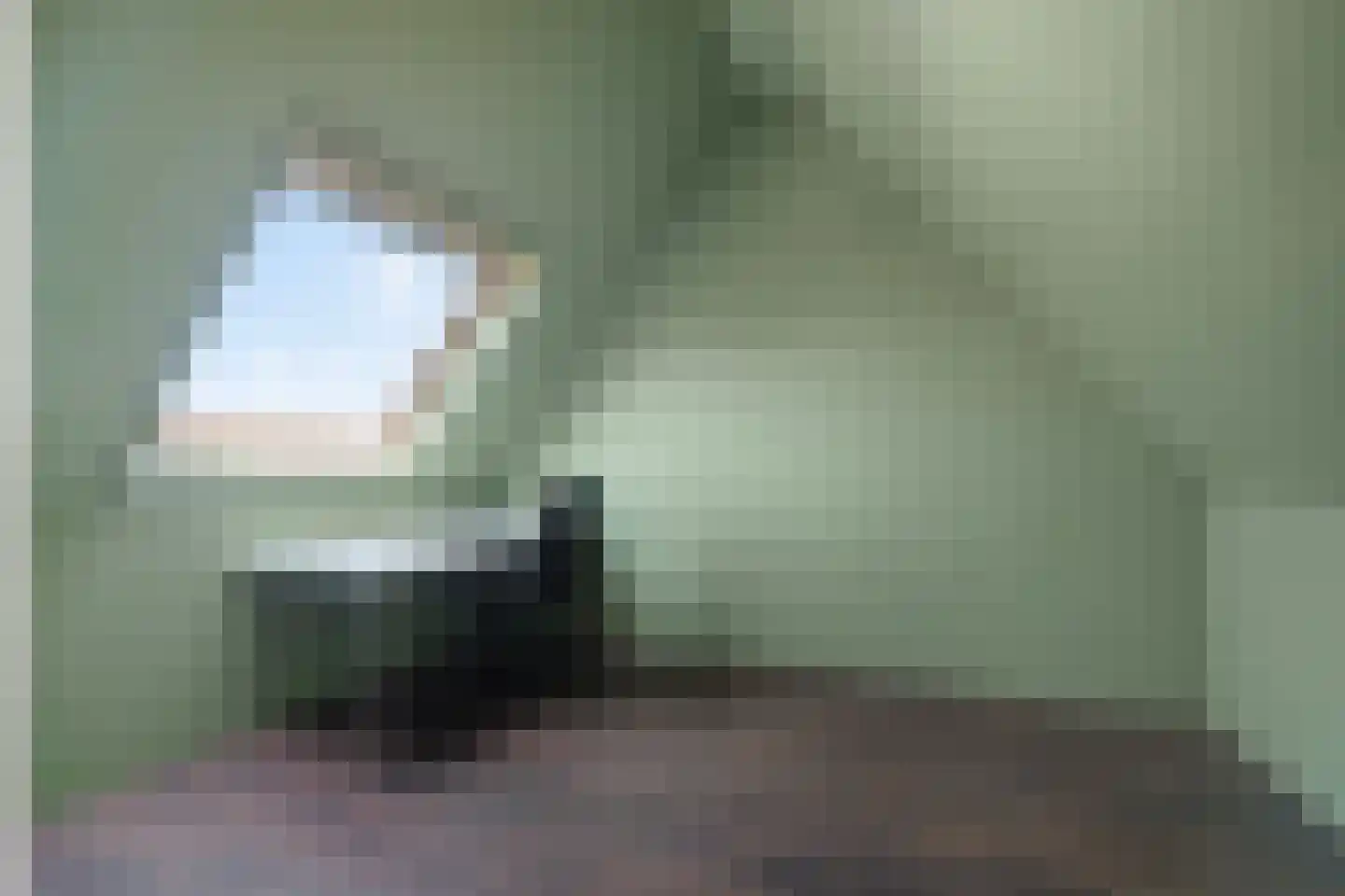 Geerestein 4 Anna Paulowna thumbnail 33