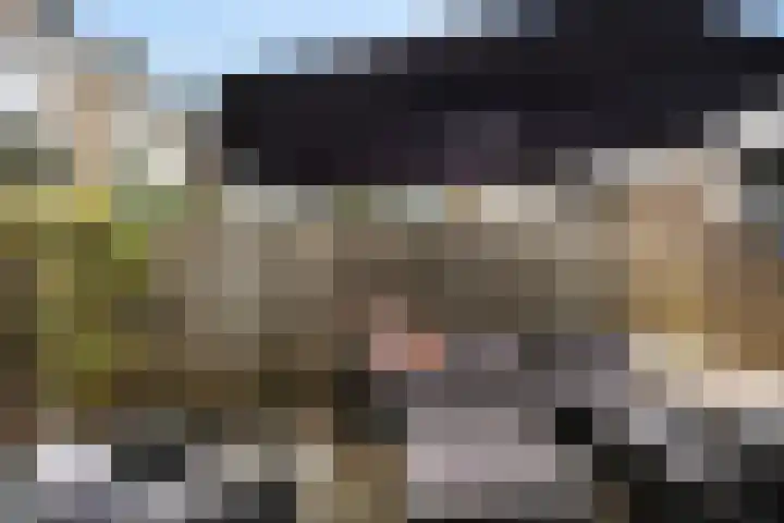 Geerestein 4 Ede thumbnail 16