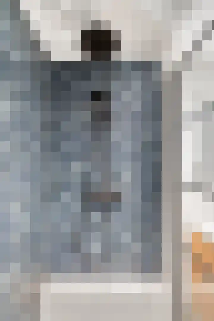 Geerestein 4 Ede thumbnail 45