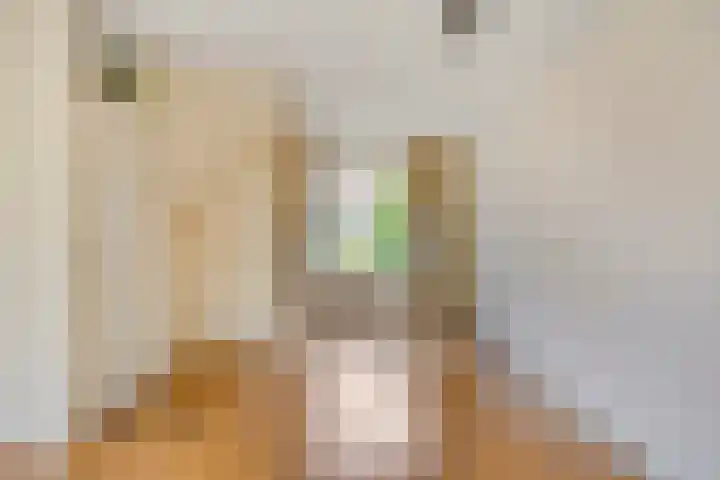 Geerestein 5 Anna Paulowna thumbnail 13