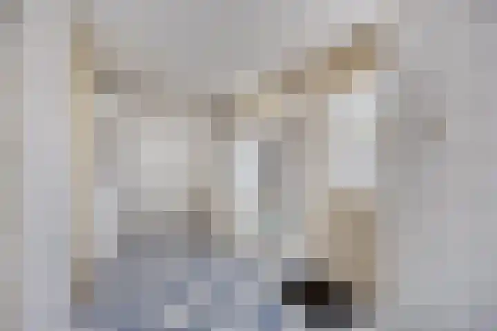 Geerestein 5 Anna Paulowna thumbnail 16