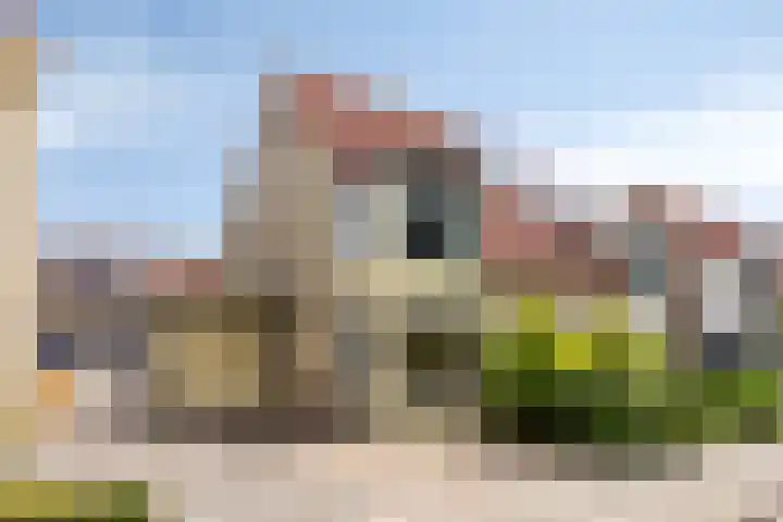Geerestein 5 Anna Paulowna thumbnail 7