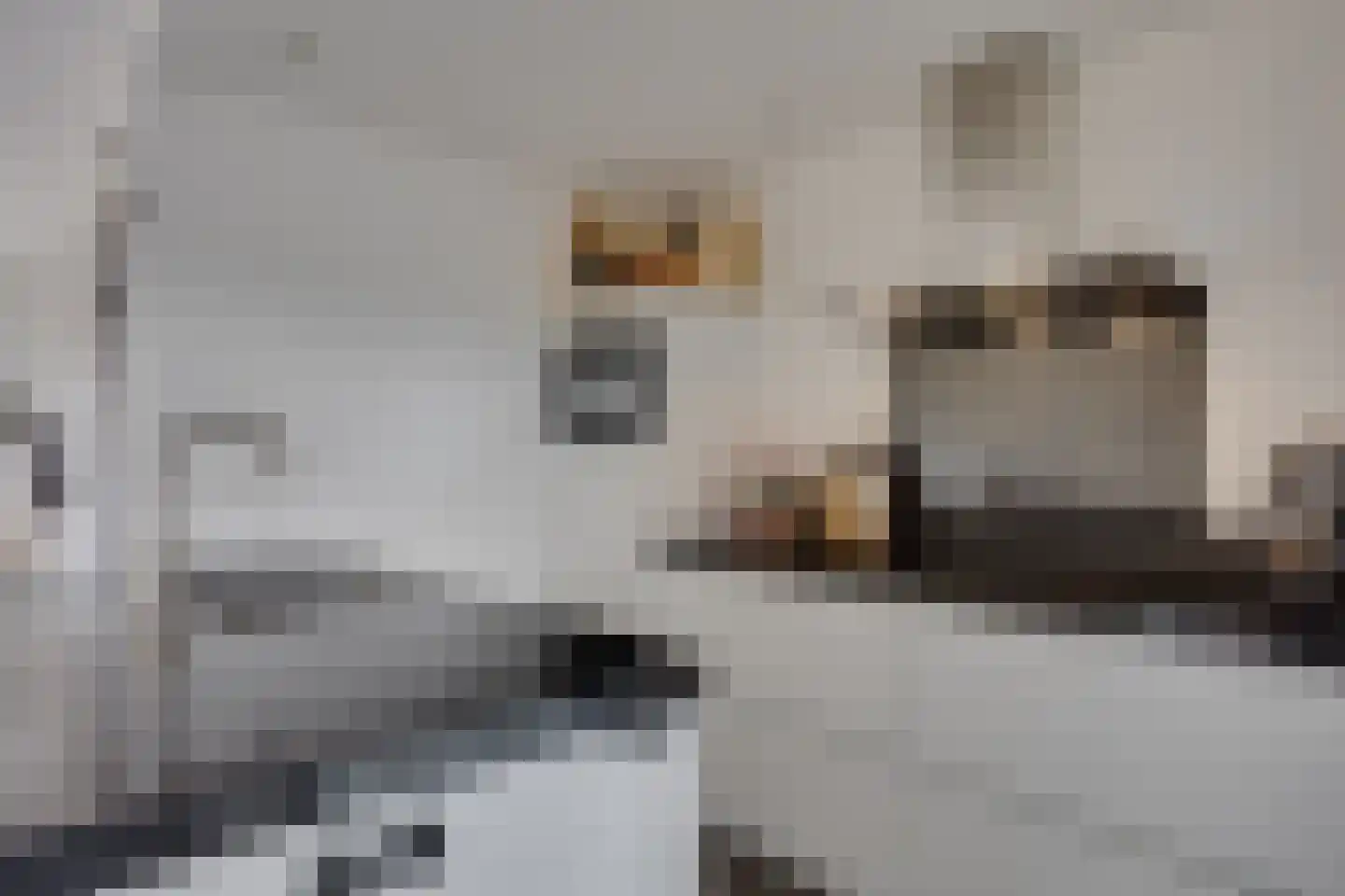 Geeresteinselaan 22 Woudenberg thumbnail 10