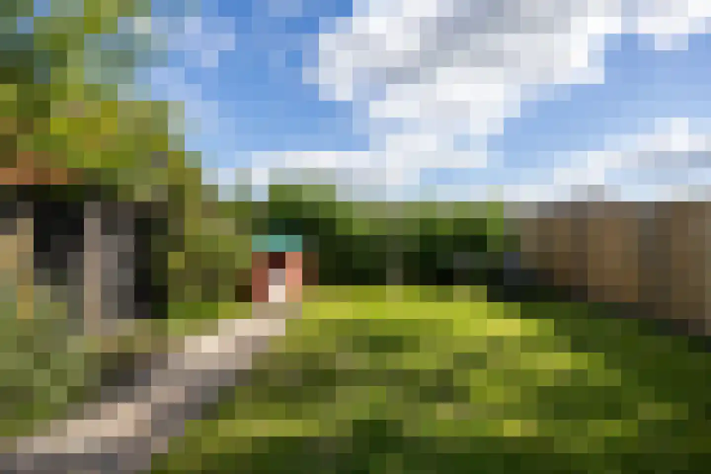 Geeresteinselaan 22 Woudenberg thumbnail 36