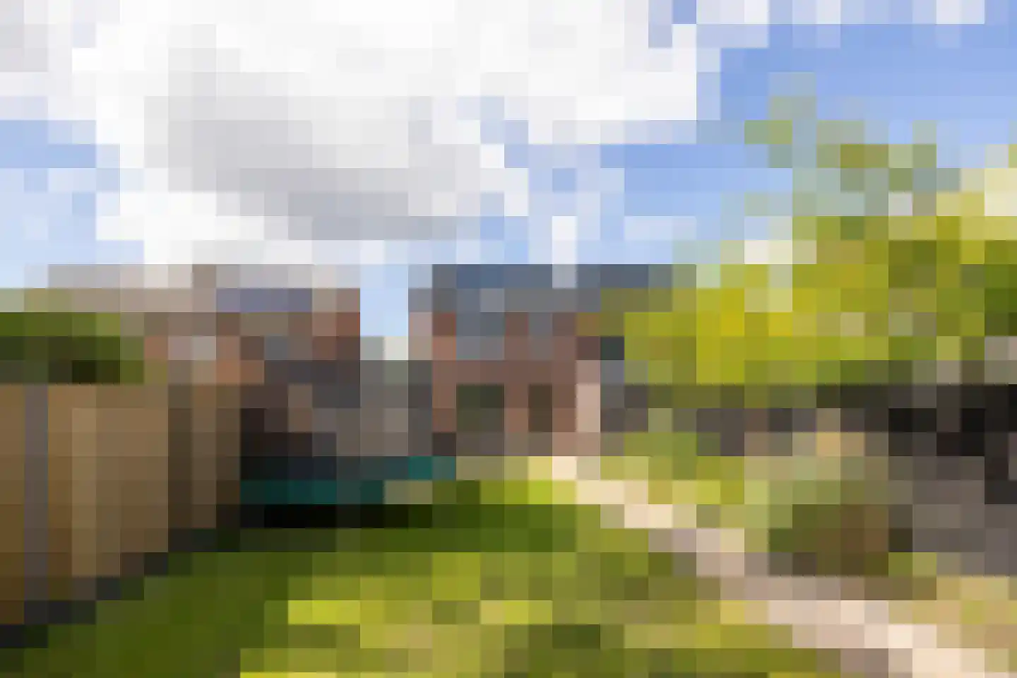 Geeresteinselaan 22 Woudenberg thumbnail 37