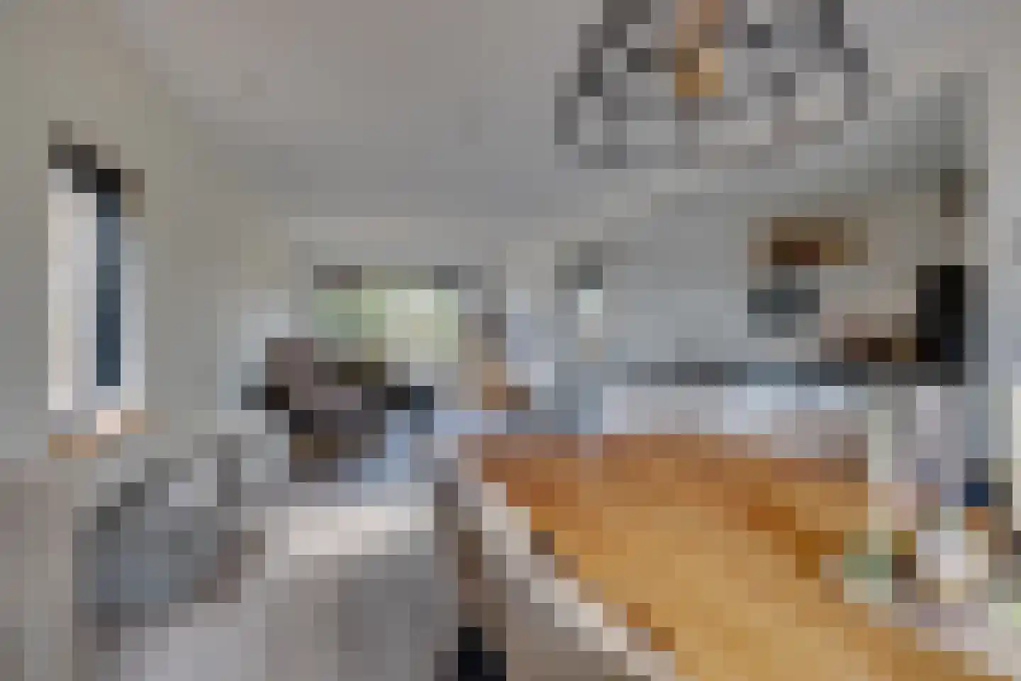 Geeresteinselaan 22 Woudenberg thumbnail 8