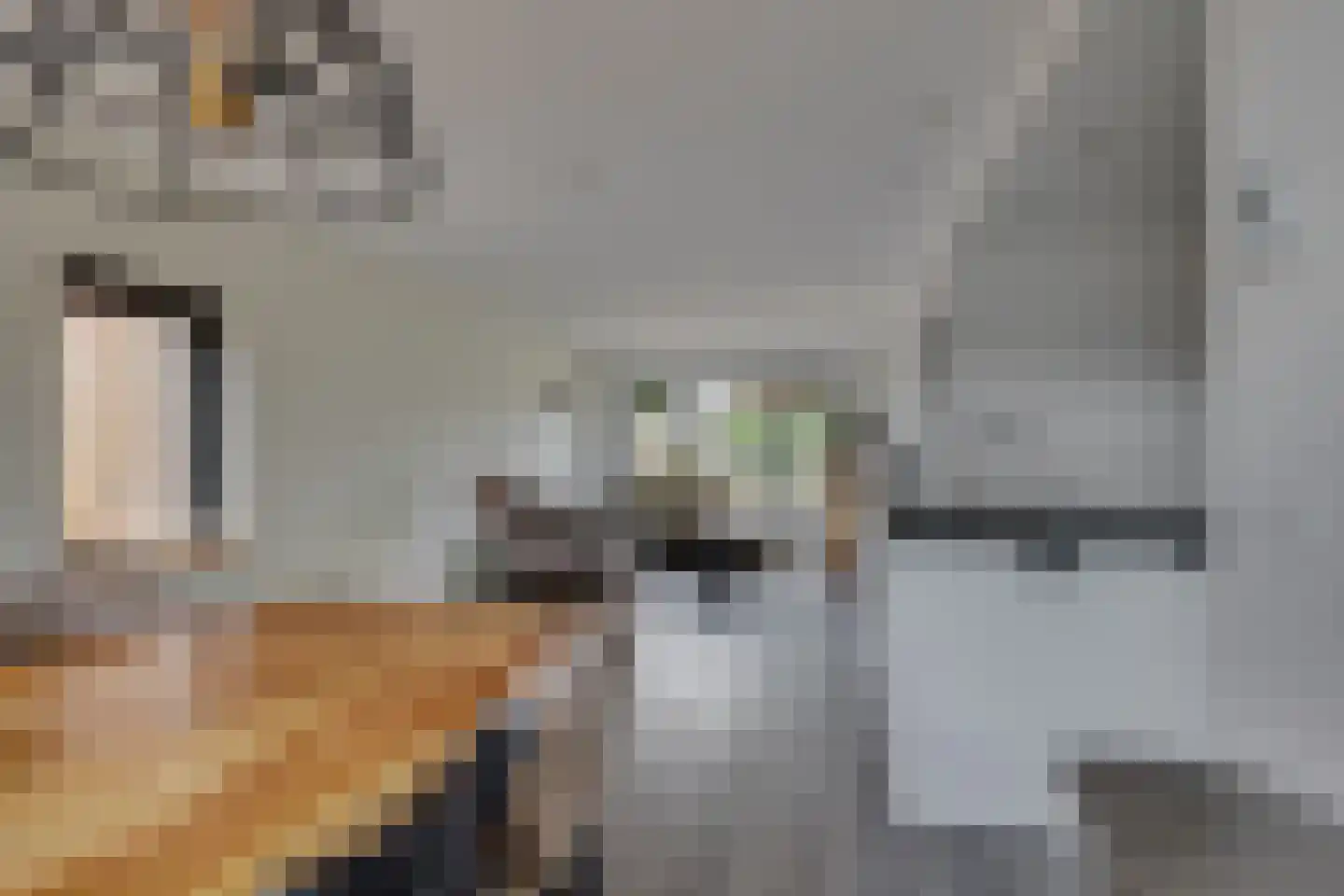 Geeresteinselaan 22 Woudenberg thumbnail 9