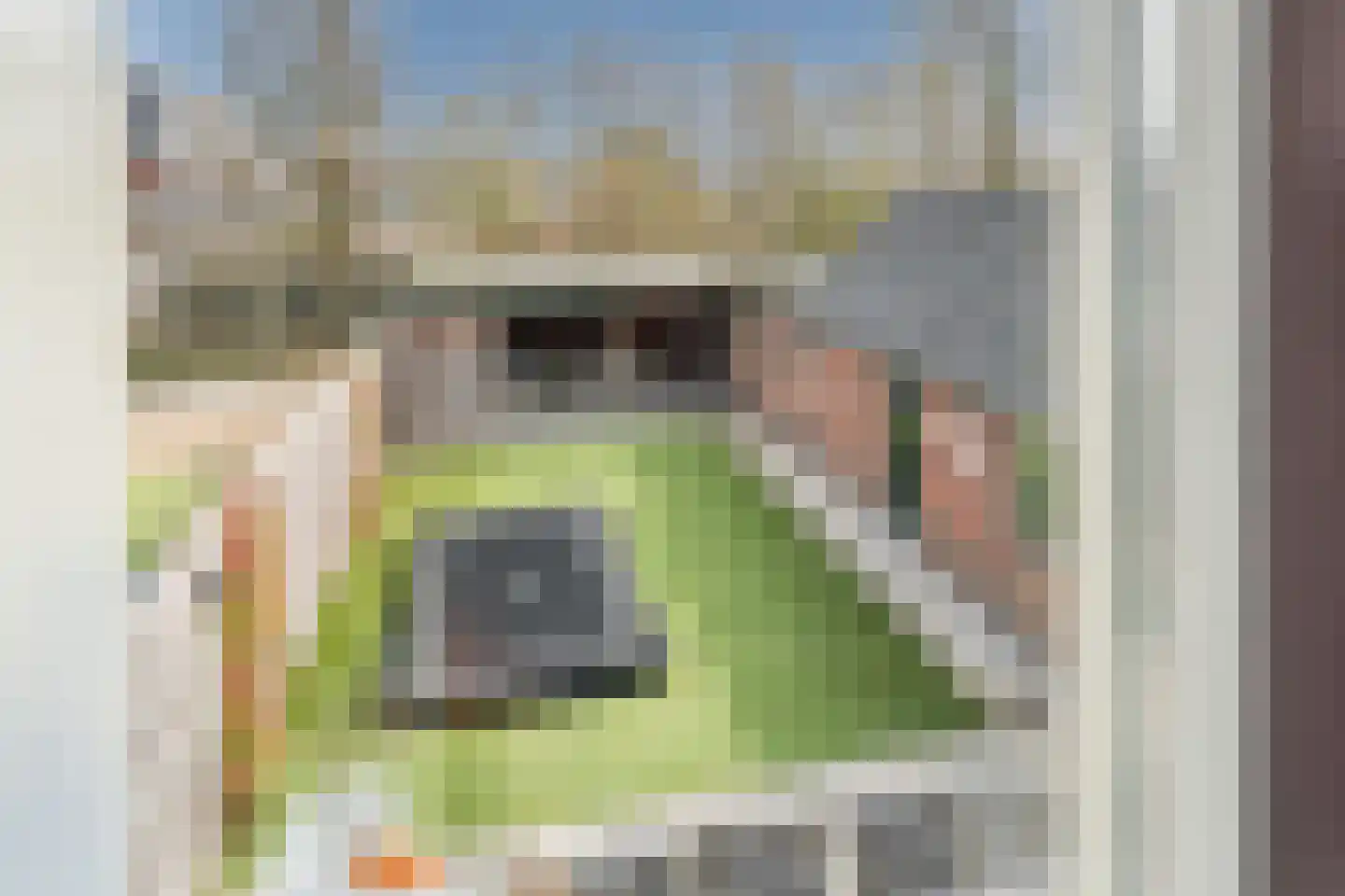 Geeresteinselaan 38 Woudenberg thumbnail 45