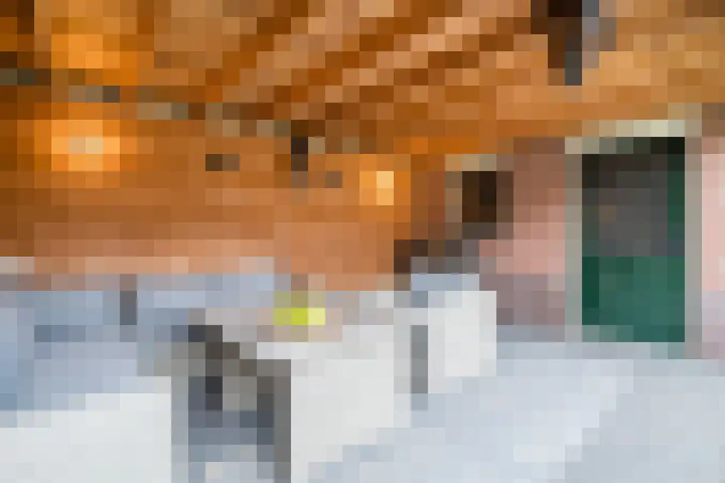 Geeresteinselaan 38 Woudenberg thumbnail 53