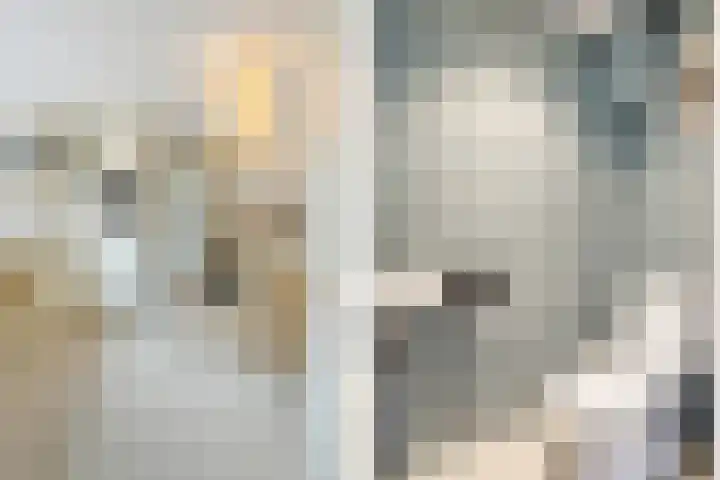 Geerhard Boschstraat 10 Hellendoorn thumbnail 12