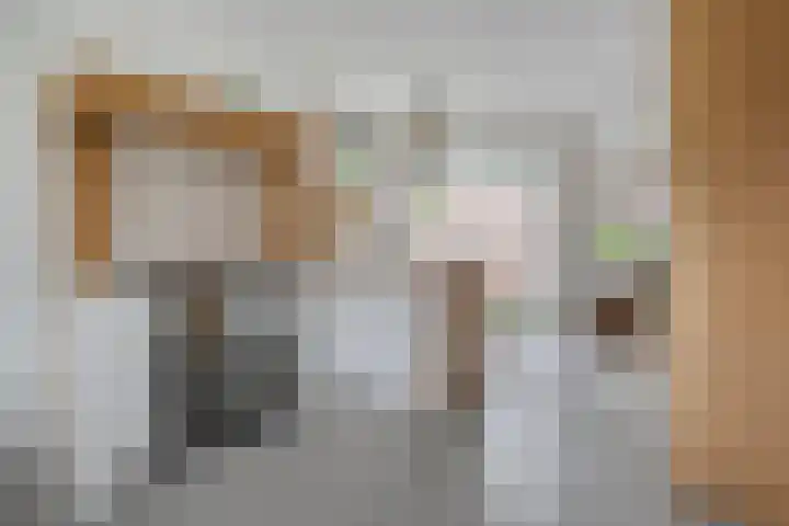 Geerhard Boschstraat 9 Hellendoorn thumbnail 14