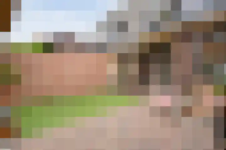 Geerhard Boschstraat 9 Hellendoorn thumbnail 37