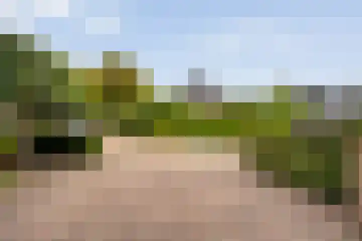 Geerhard Boschstraat 9 Hellendoorn thumbnail 5