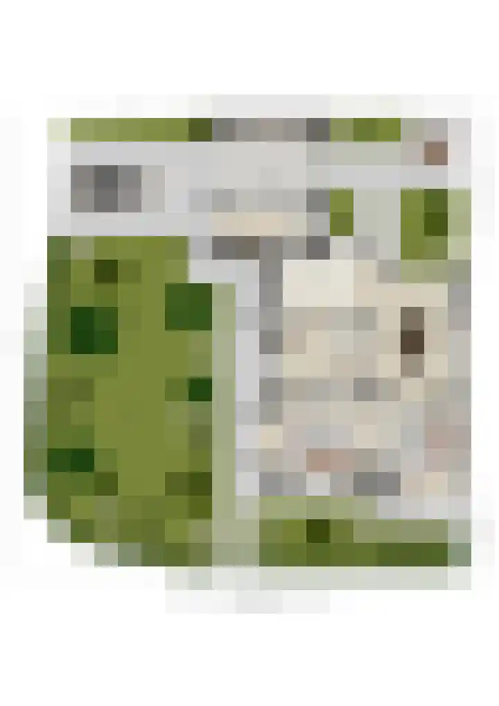 Geerhard Boschstraat 9 Hellendoorn thumbnail 50