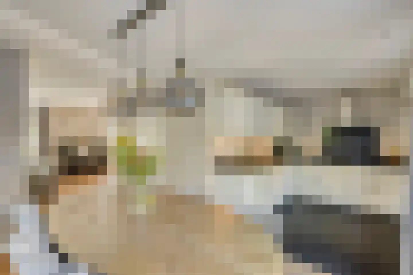 Geerhoek 24 Scherpenzeel thumbnail 11
