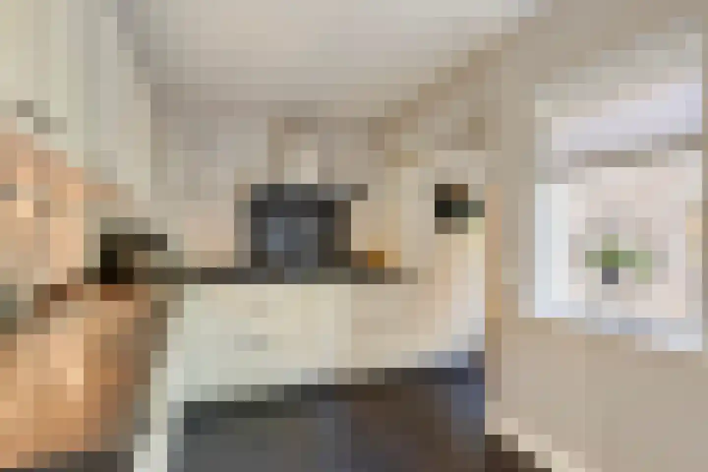 Geerhoek 24 Scherpenzeel thumbnail 12