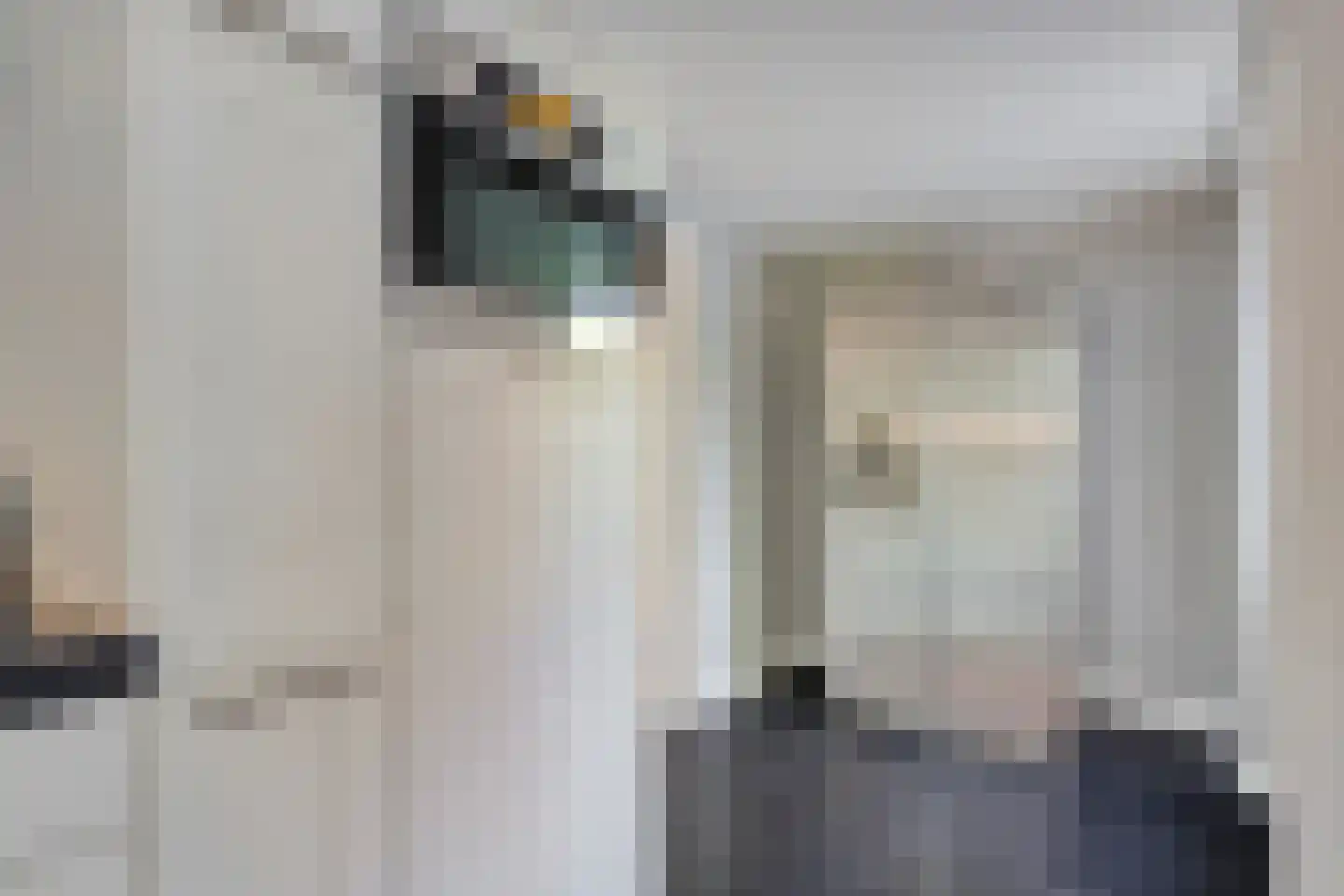 Geerhoek 24 Scherpenzeel thumbnail 14