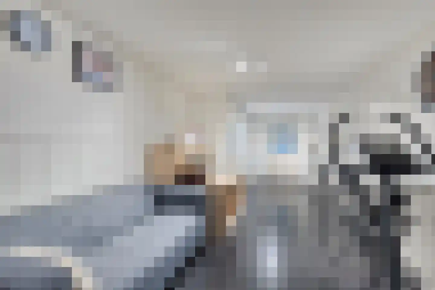 Geerhoek 24 Scherpenzeel thumbnail 15