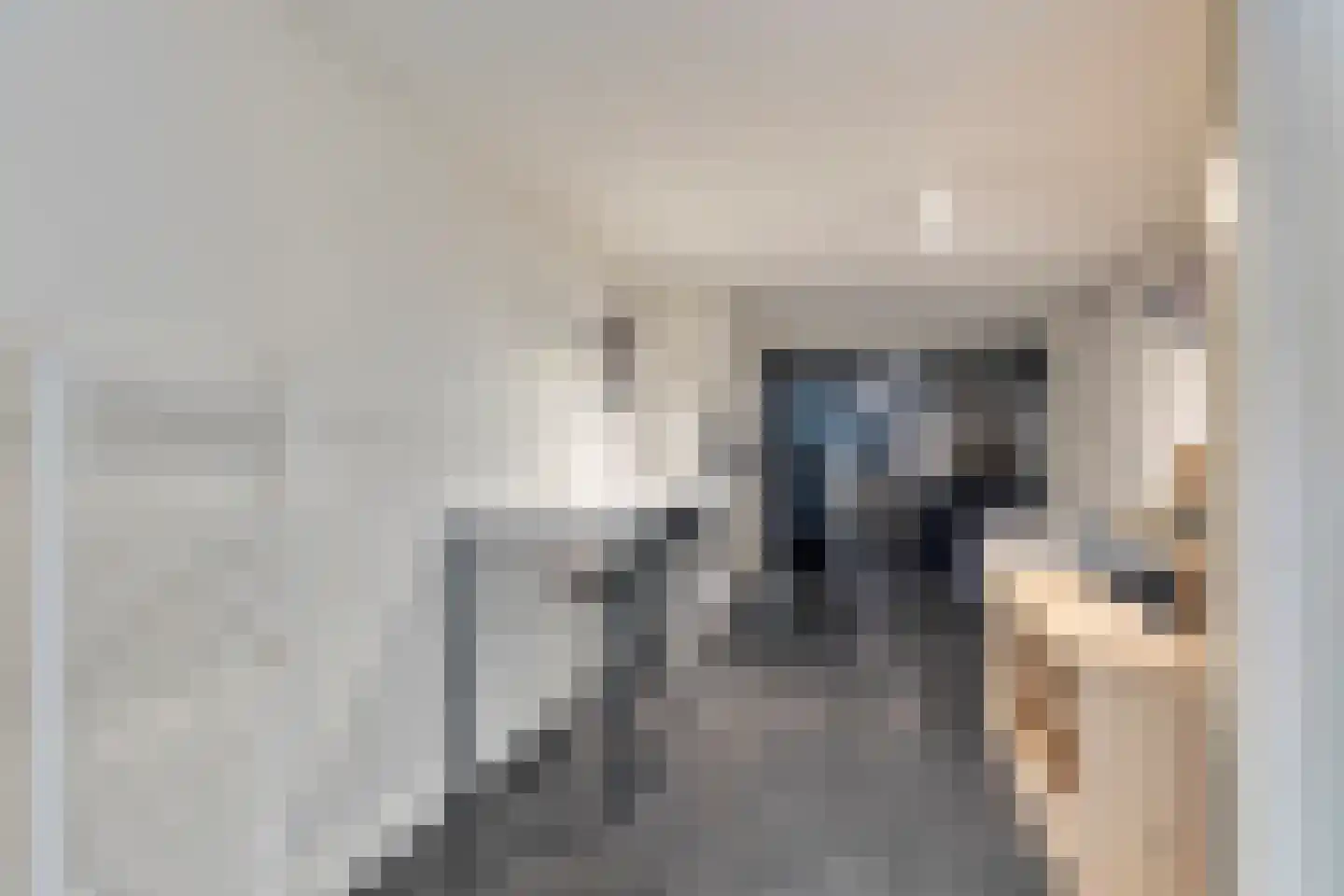 Geerhoek 24 Scherpenzeel thumbnail 16