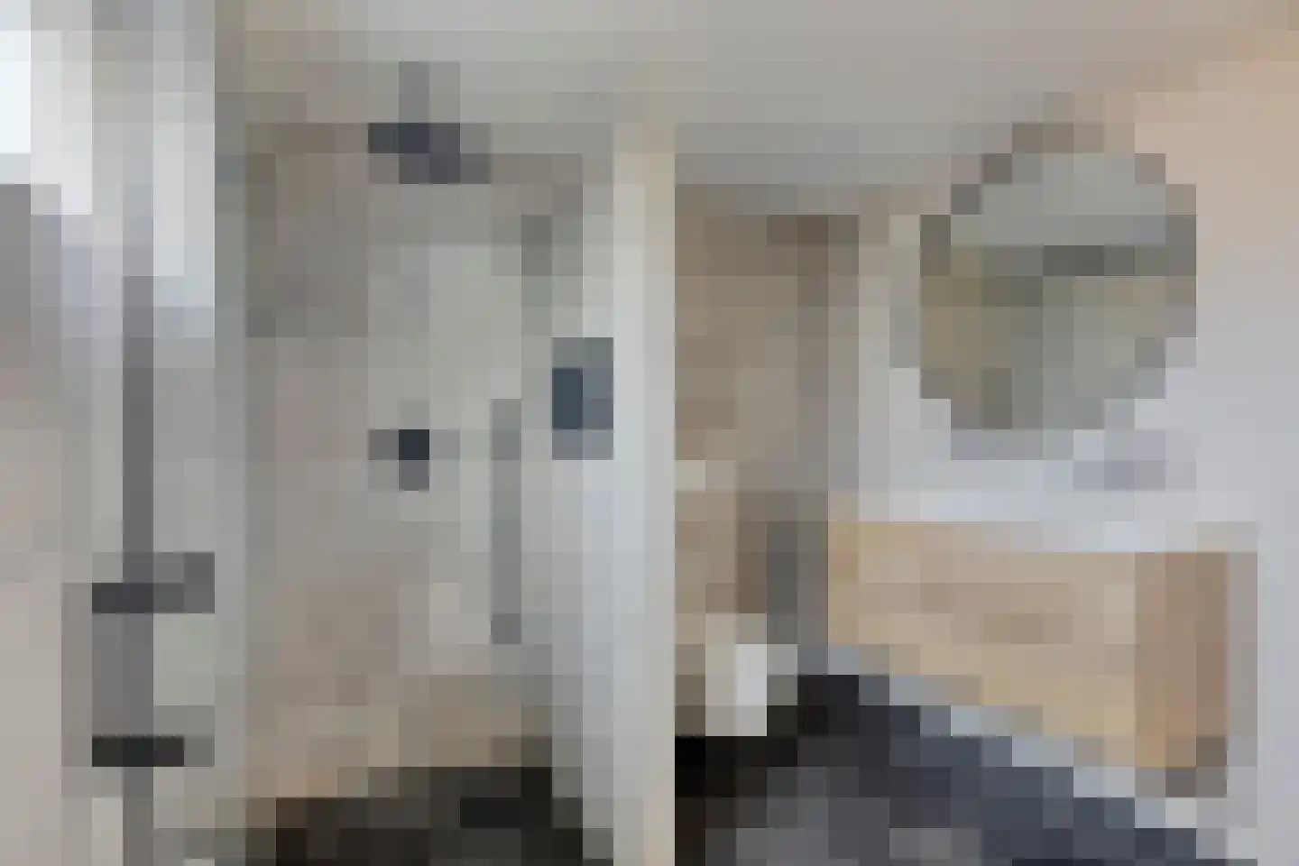Geerhoek 24 Scherpenzeel thumbnail 19
