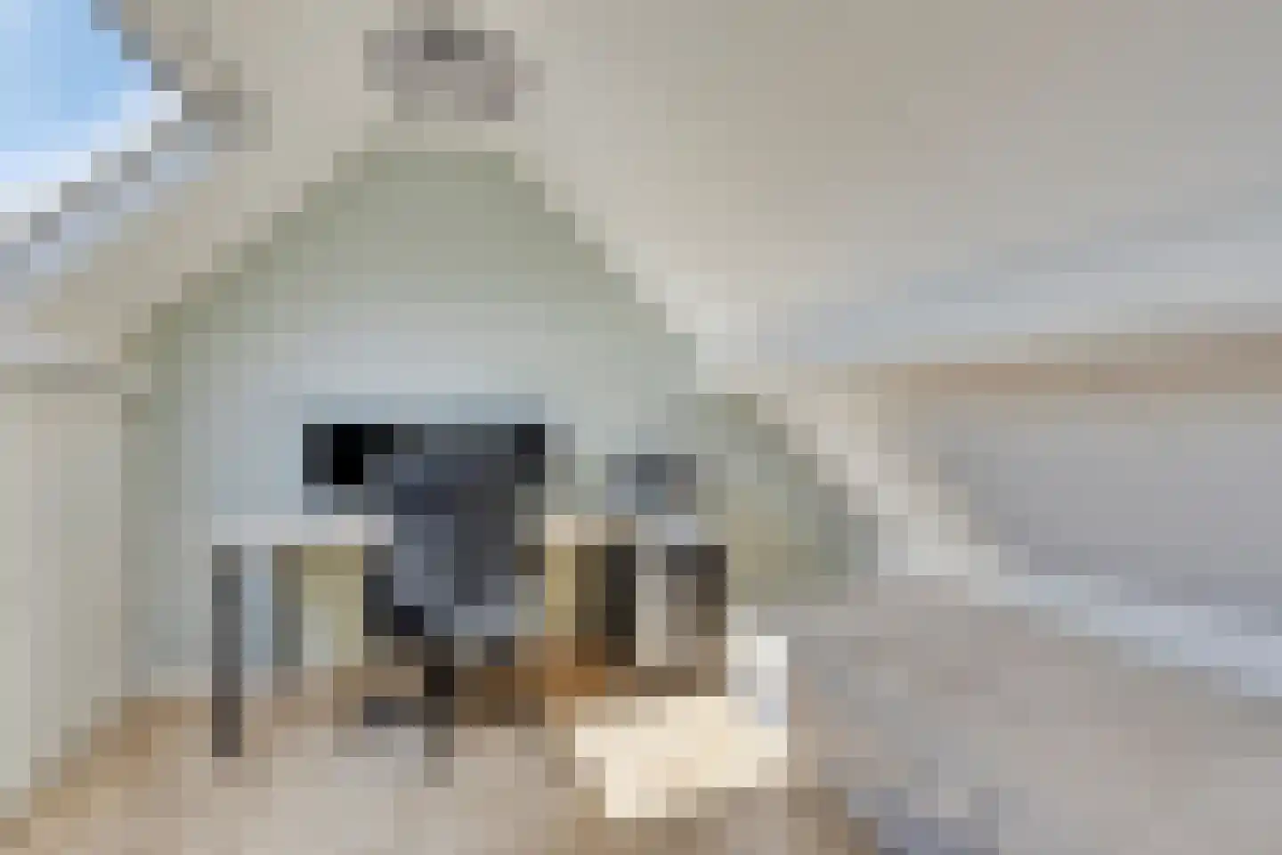Geerhoek 24 Scherpenzeel thumbnail 25
