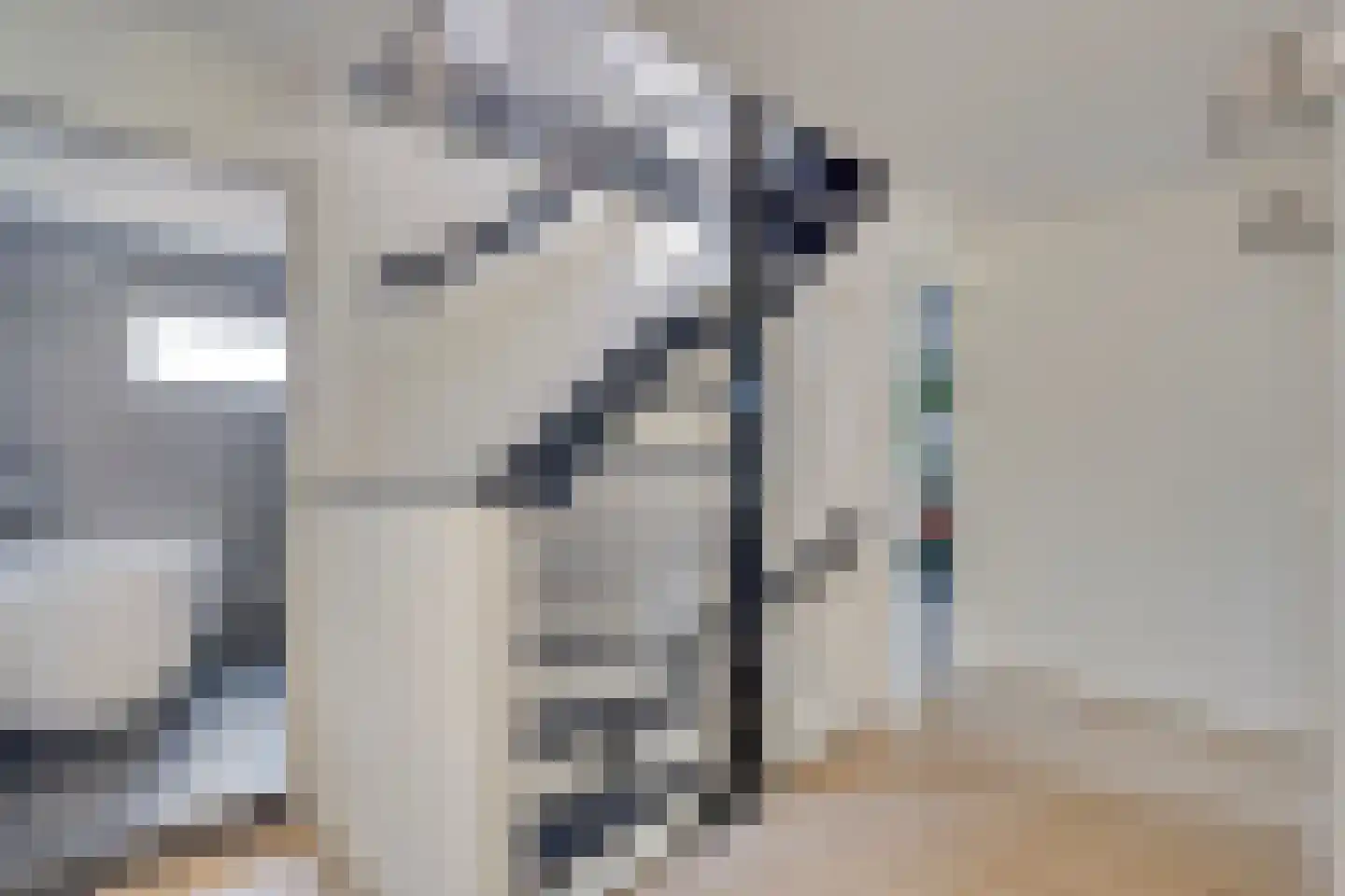 Geerhoek 24 Scherpenzeel thumbnail 27