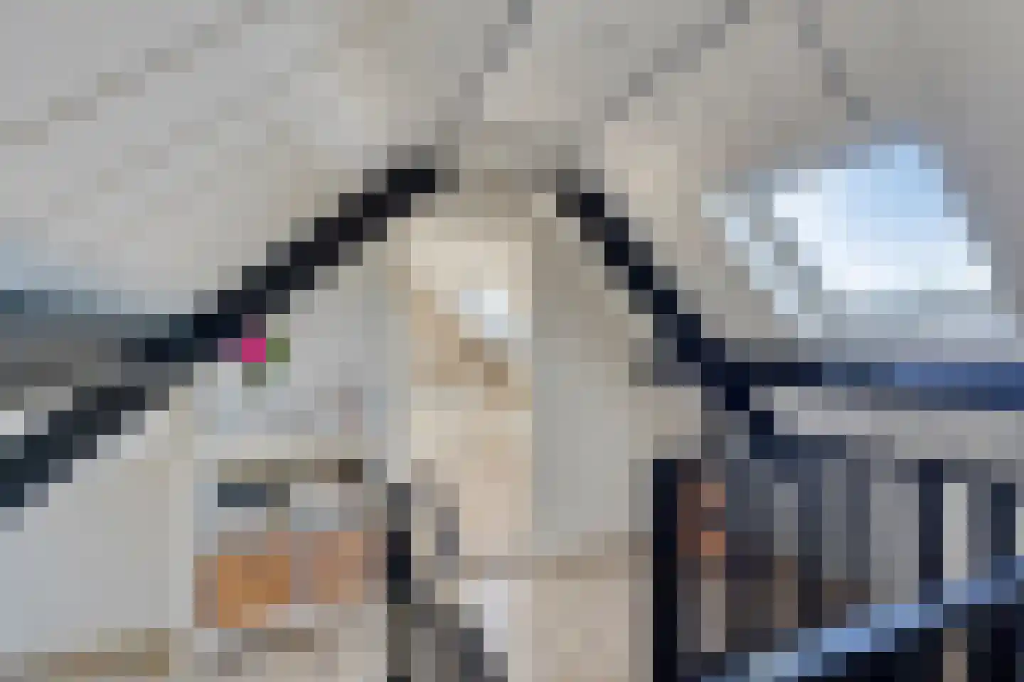 Geerhoek 24 Scherpenzeel thumbnail 28