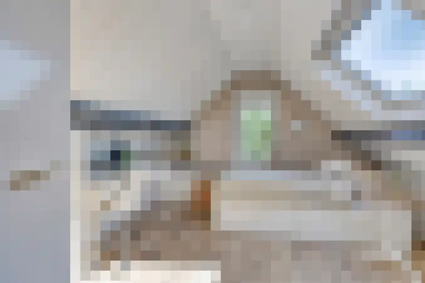 Geerhoek 24 Scherpenzeel thumbnail 30