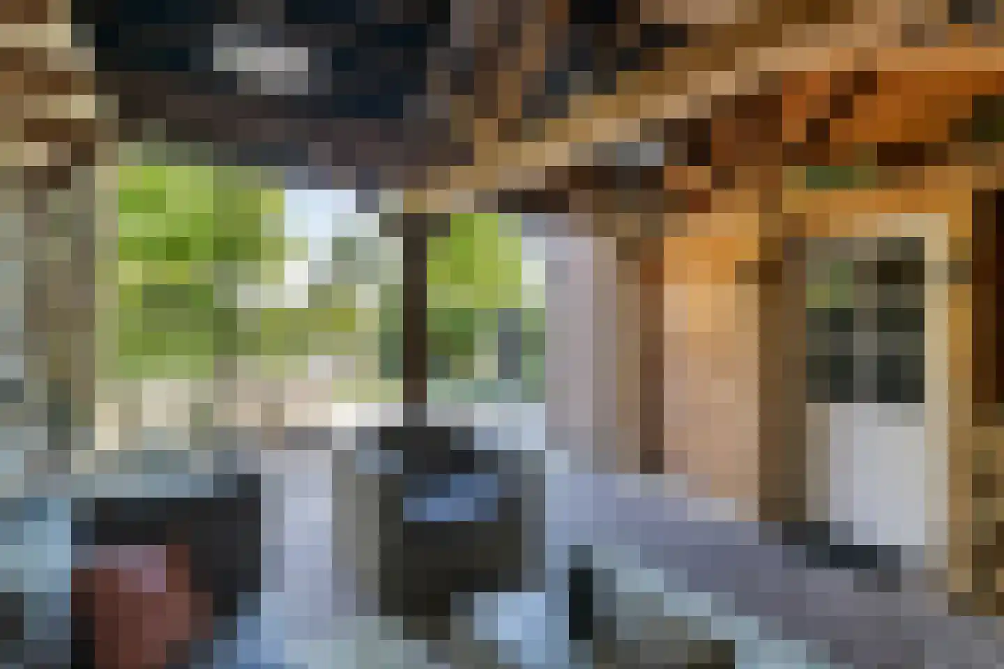 Geerhoek 24 Scherpenzeel thumbnail 35