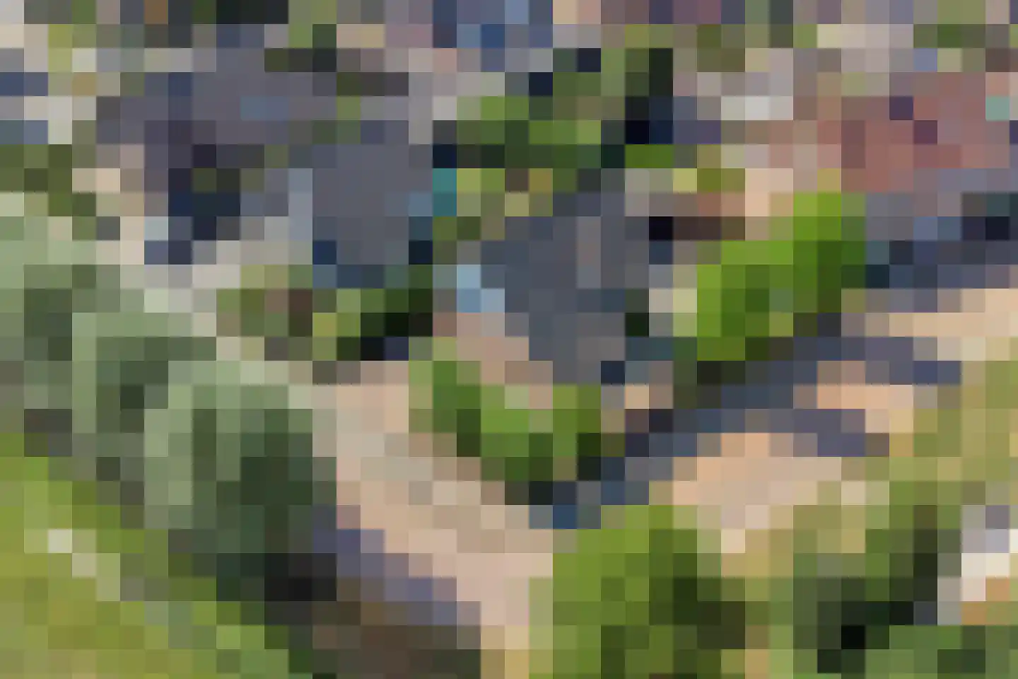 Geerhoek 24 Scherpenzeel thumbnail 41