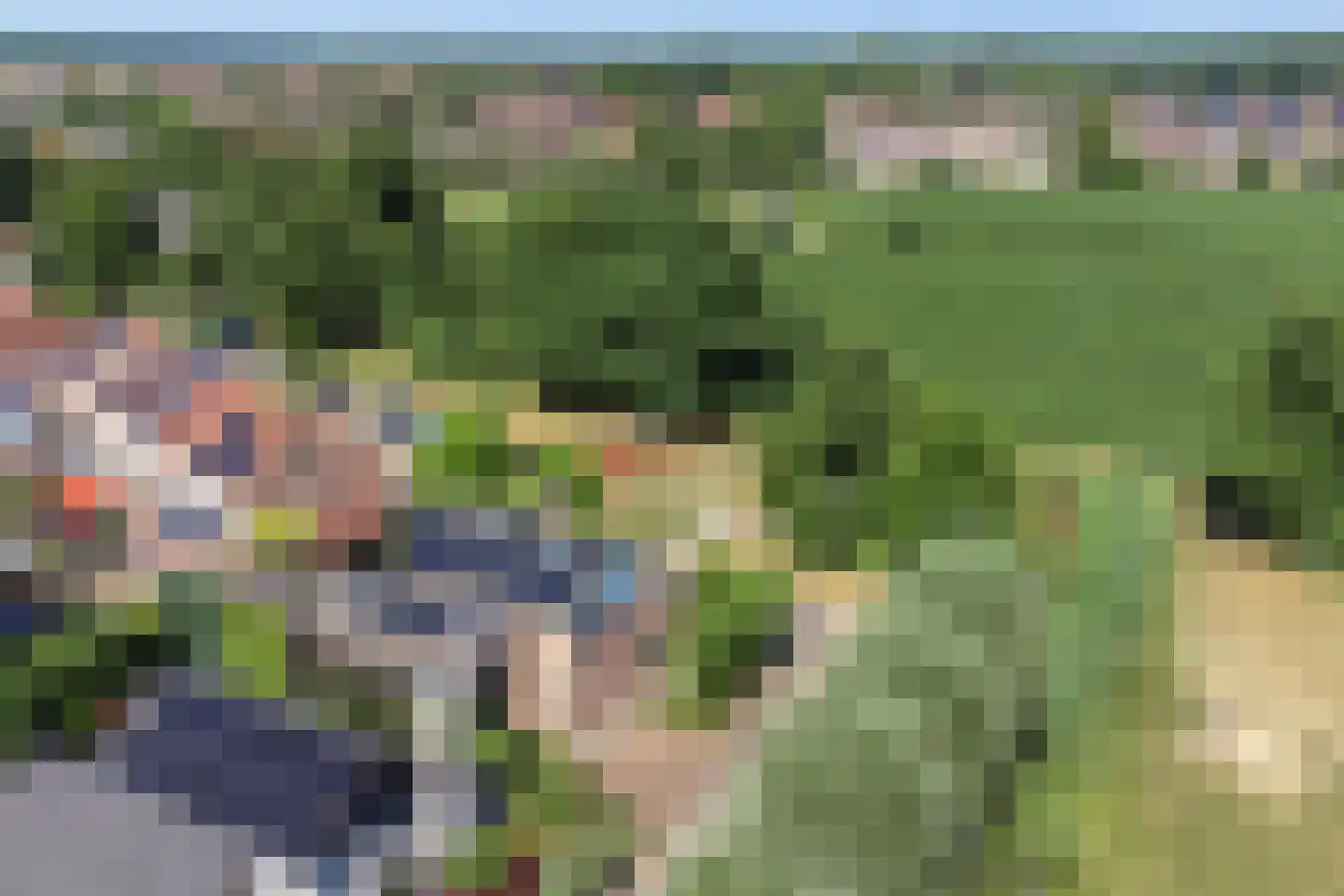 Geerhoek 24 Scherpenzeel thumbnail 42