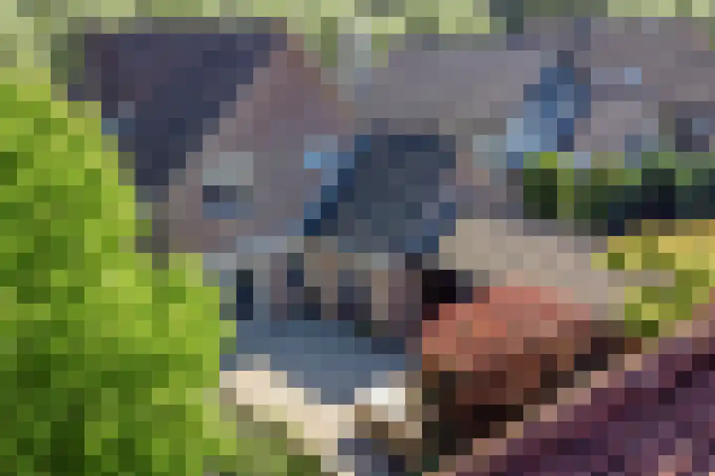 Geerhoek 24 Scherpenzeel thumbnail 43