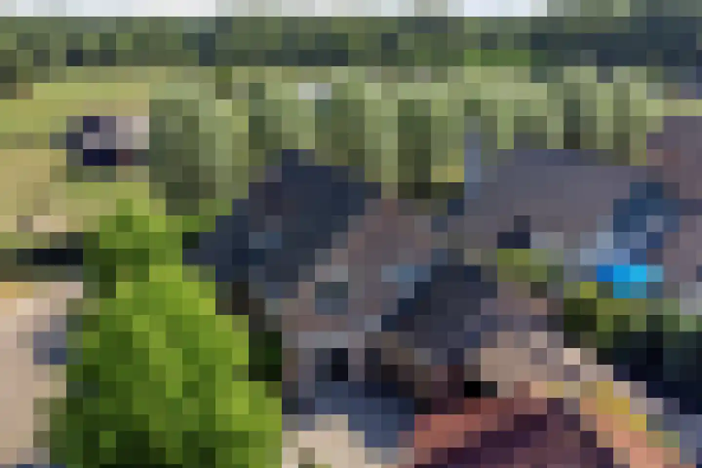 Geerhoek 24 Scherpenzeel thumbnail 44