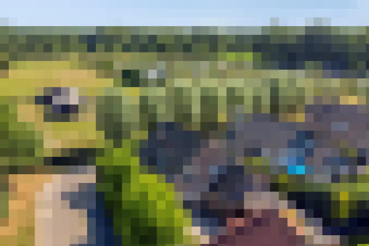 Geerhoek 24 Scherpenzeel thumbnail 45