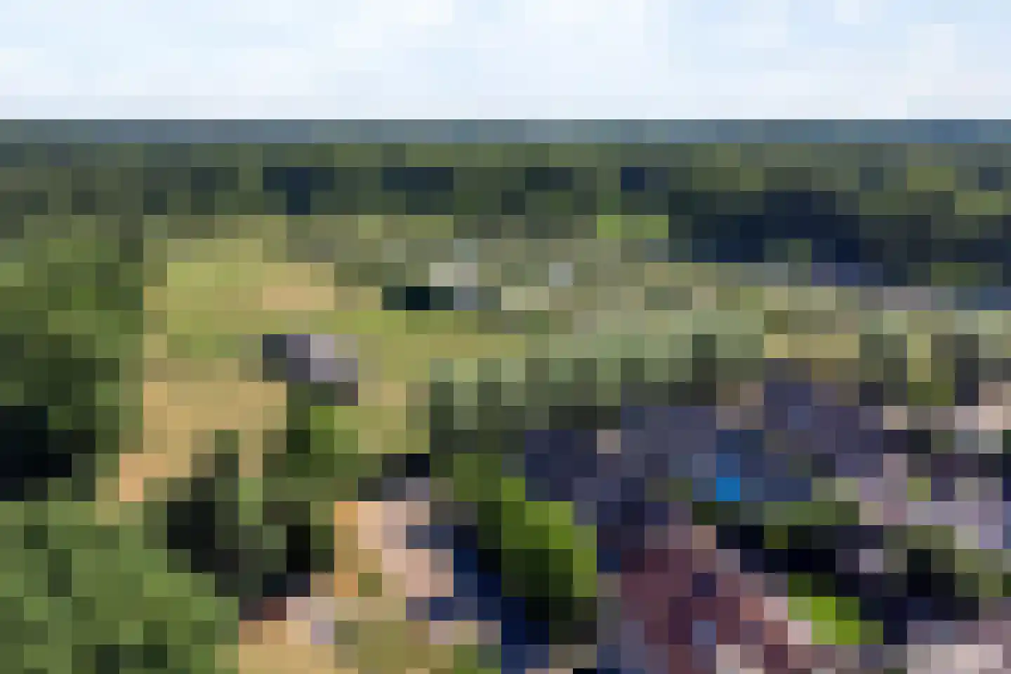 Geerhoek 24 Scherpenzeel thumbnail 46