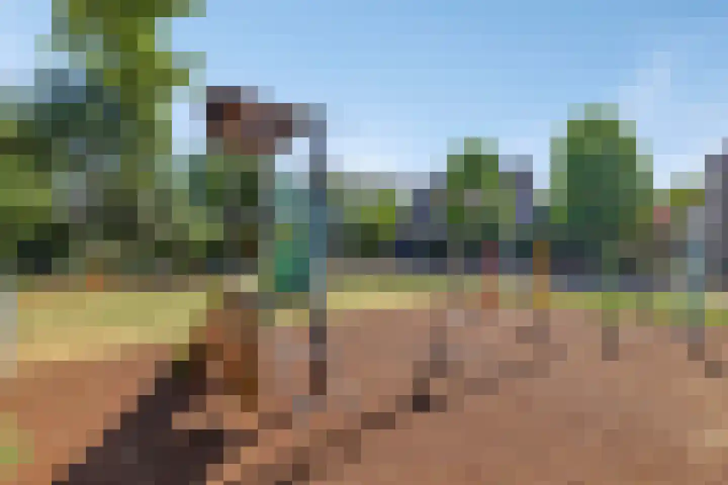 Geerhoek 24 Scherpenzeel thumbnail 49