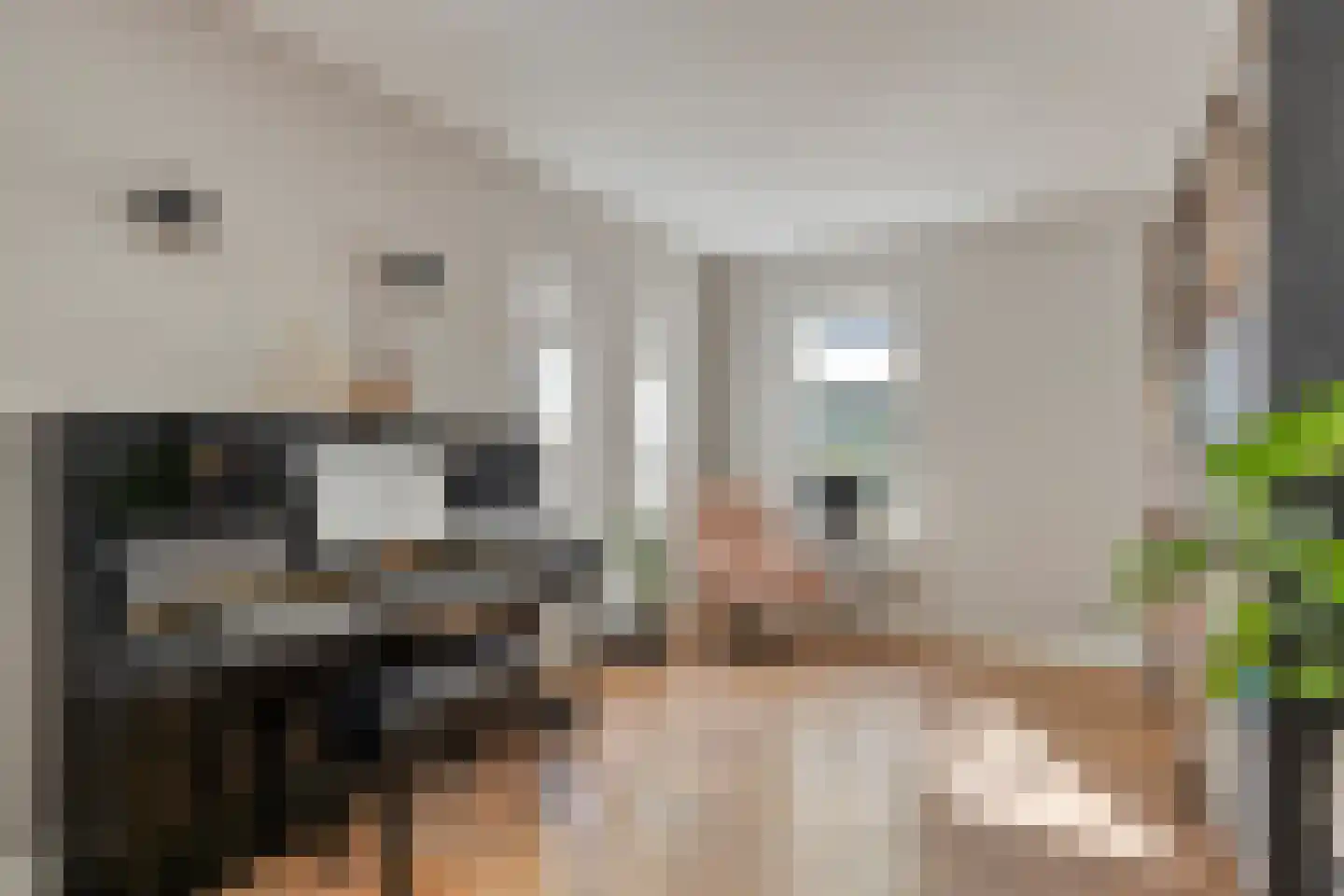 Geerhoek 24 Scherpenzeel thumbnail 5