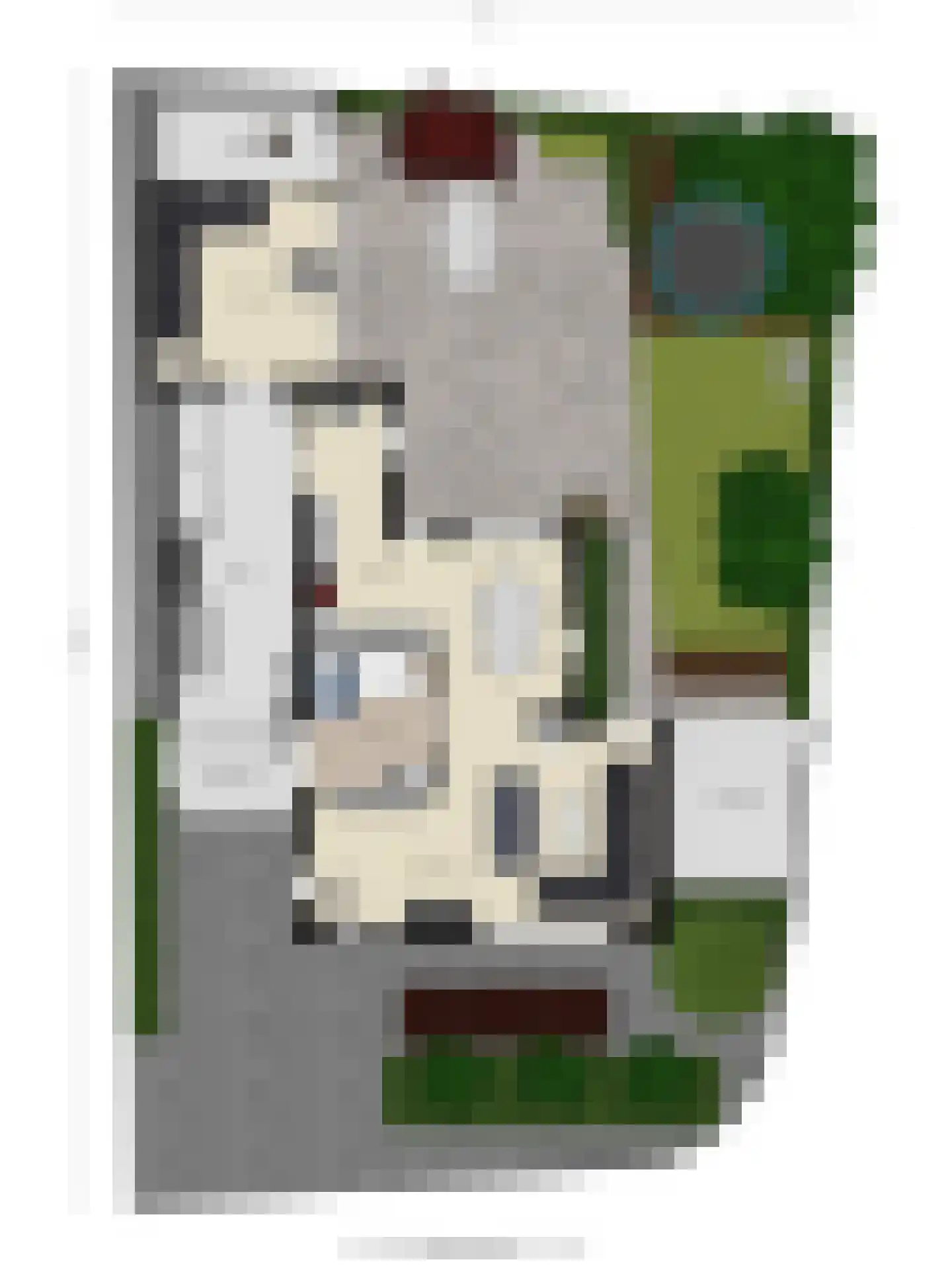 Geerhoek 24 Scherpenzeel thumbnail 53