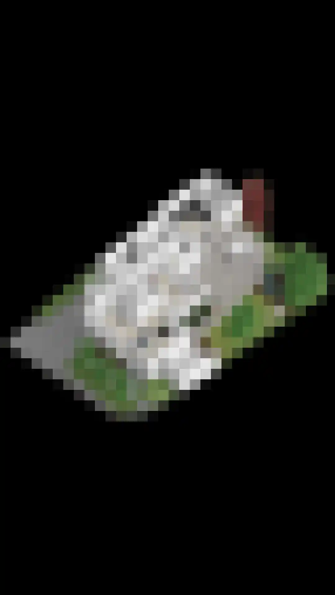 Geerhoek 24 Scherpenzeel thumbnail 57