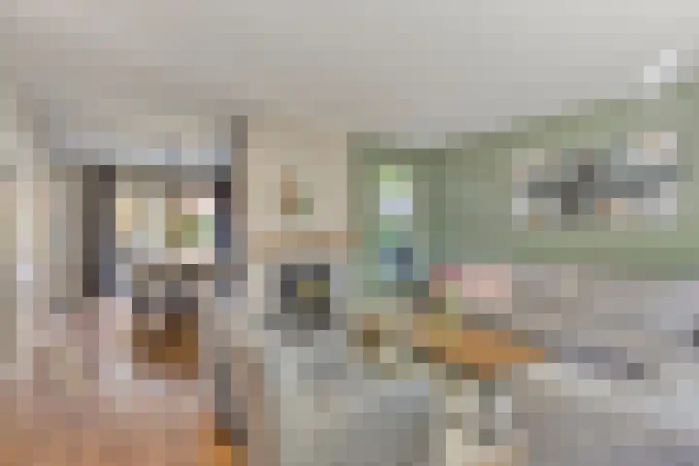 Geerhoek 24 Scherpenzeel thumbnail 8