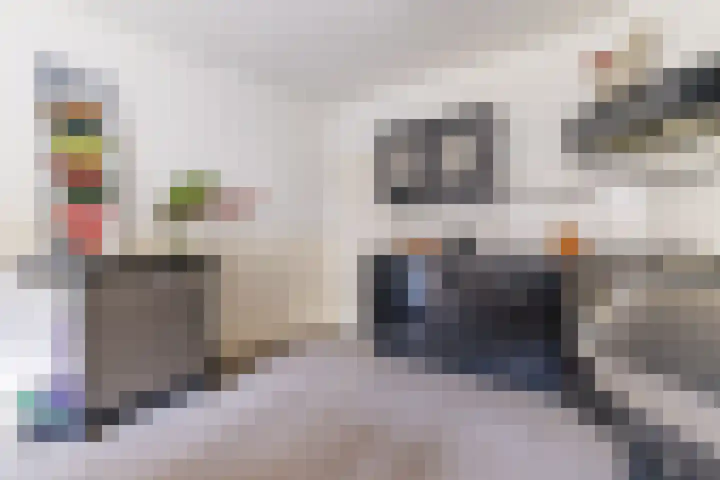 Geerhoek 34 Scherpenzeel thumbnail 13