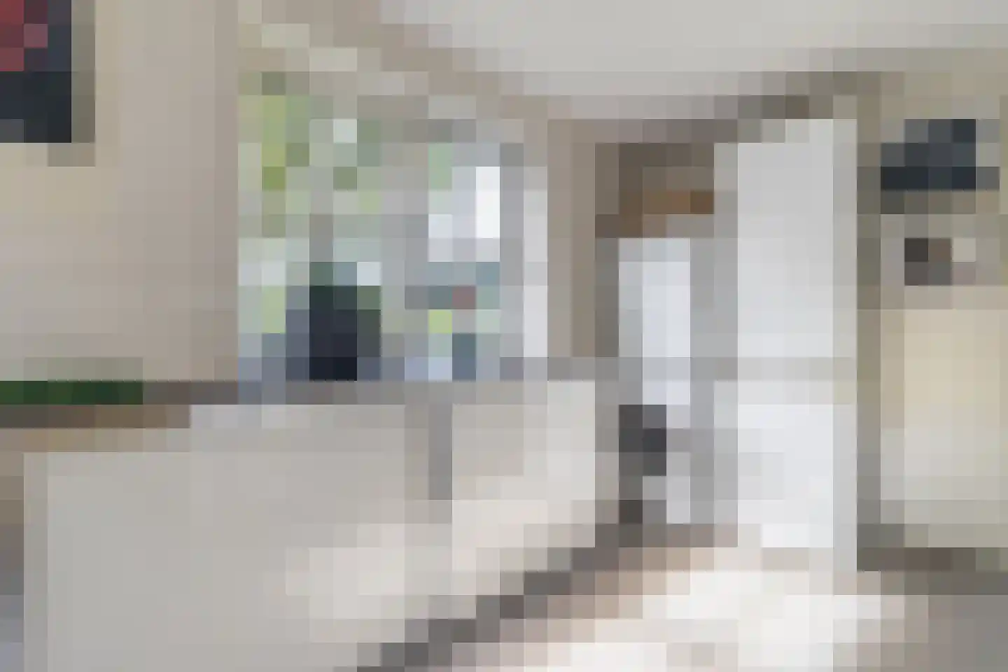 Geerhoek 34 Scherpenzeel thumbnail 15
