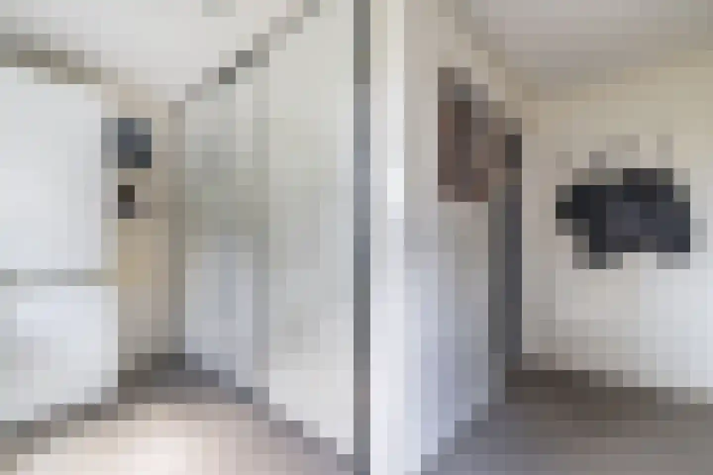 Geerhoek 34 Scherpenzeel thumbnail 17